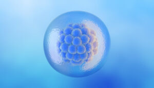 Read more about the article Embryo donation: One possible path after IVF