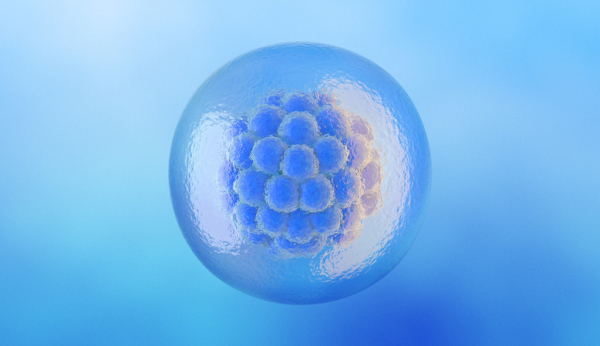 You are currently viewing Embryo donation: One possible path after IVF